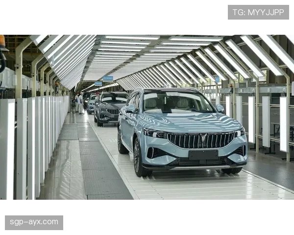 阿什利扬未来前景广阔，引发业界广泛关注