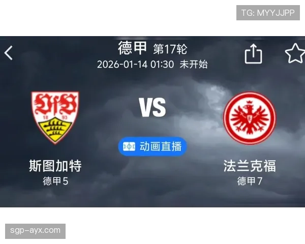 斯图加特高压逼抢驱动德甲变革 球队竞争实力显著提升