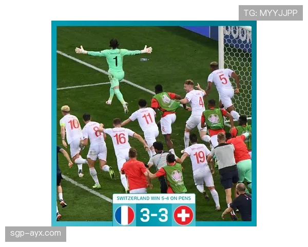 欧洲杯法国队阵容 欧洲杯法国队阵容